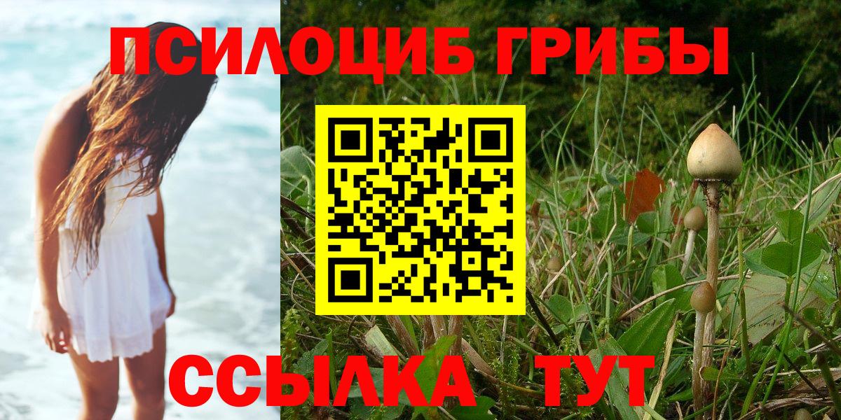 Надым  Псилоцибиновые грибы GOLDEN TEACHER  Галлюциногенные грибы мицелий  Вход с VPN 